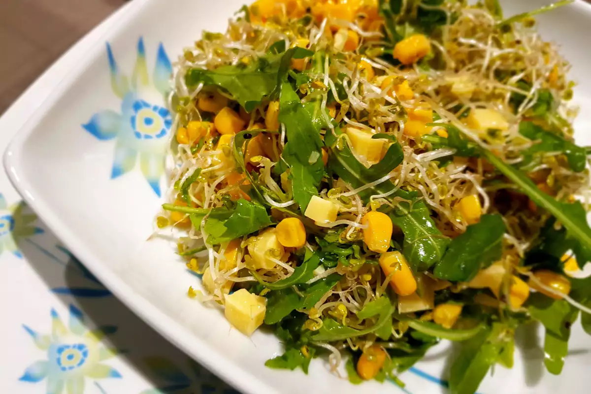 Ensalada de maíz, brotes de brócoli y cheddar - Receta 