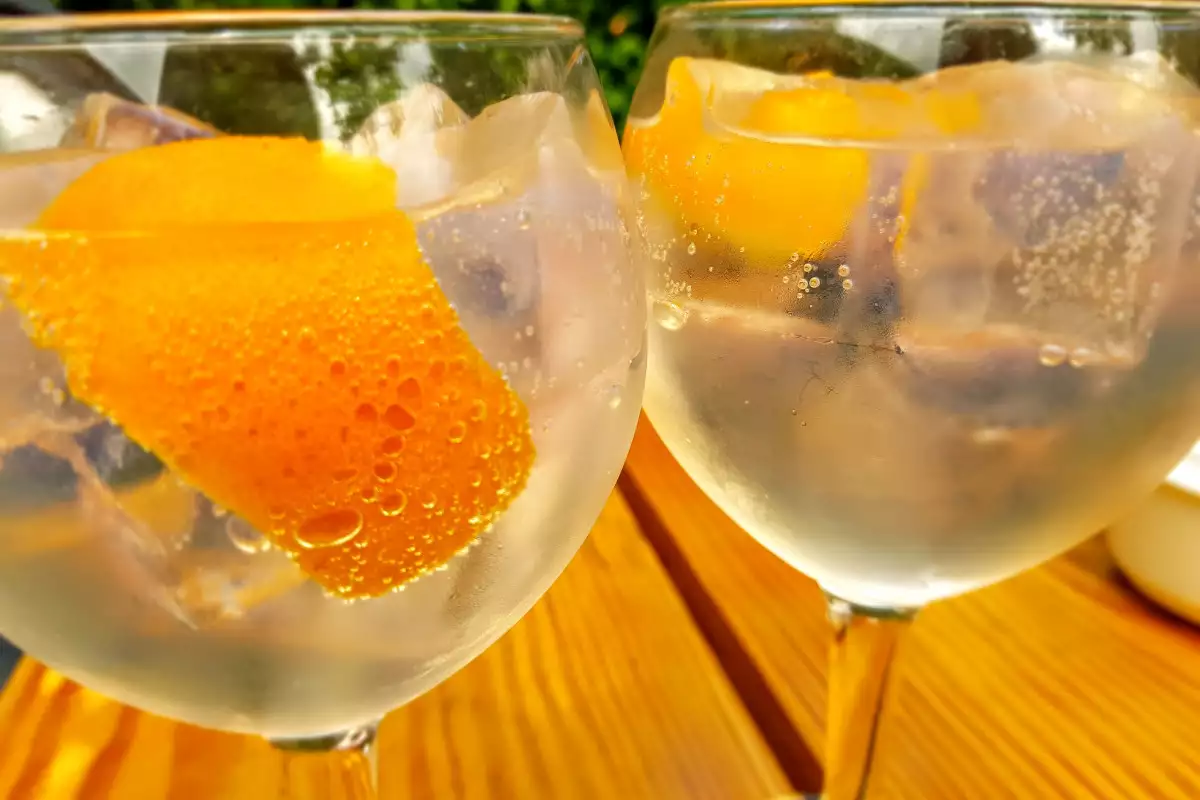 Gin tonic de Naranja - Receta 