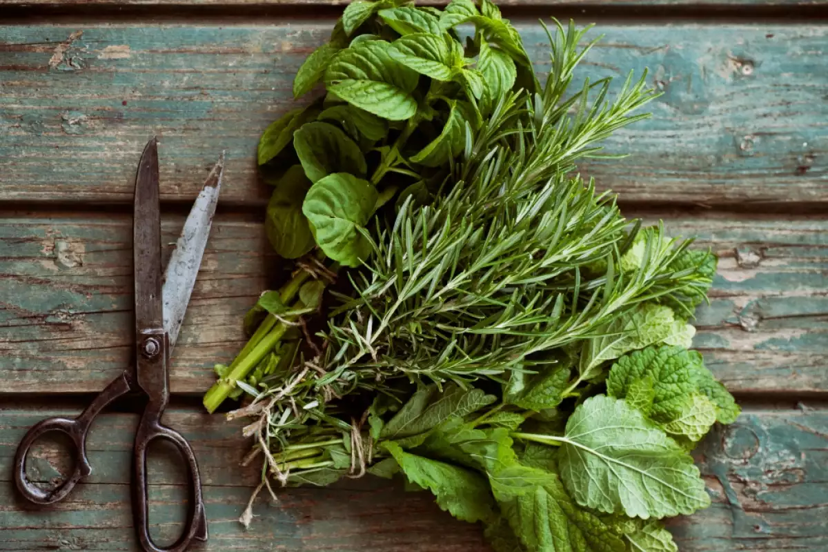 Qué es el Bouquet Garni y para qué se utiliza? 