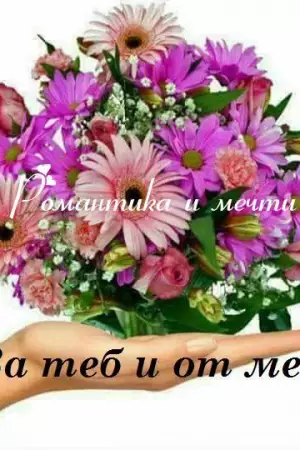 Zornitsa Mihova