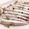 Boquerón o Anchoa (Engraulis encrasicolus)