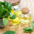 Aceite esencial de albahaca