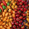 ¿Qué mide la escala Scoville?