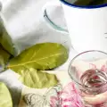 Infusión de laurel para reducir el azúcar en la sangre