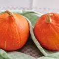 ¿Cómo almacenar la calabaza?