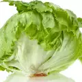 Lechuga Iceberg