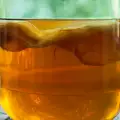 Kombucha: el hongo del té que se ha convertido en una cultura