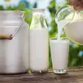 ¿Cómo hervir la leche fresca?