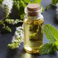 Aceite de menta - beneficios y usos