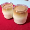 Flan Japonés