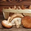 Las propiedades de las setas shiitake