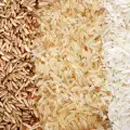 ¿El arroz contiene gluten?