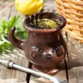 Yerba Mate - la bebida secreta con propiedades milagrosas