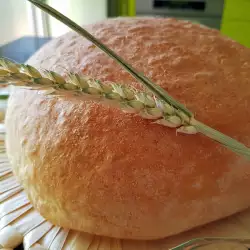 Pan de campo al horno de leña