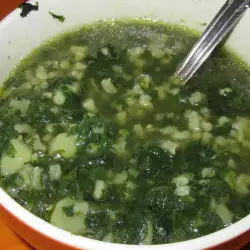 Sopa con ortiga sin carne