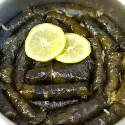 Rollitos de hojas de parra (receta de la cocina turca)