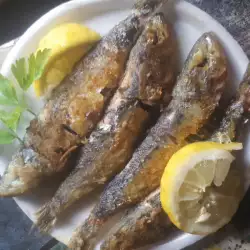Recetas con sardinas