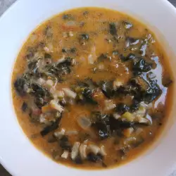 Sopa de Ortiga con Arroz y Tomates