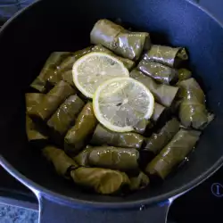 Rollitos de hoja de parra sin carne (cocina turca)
