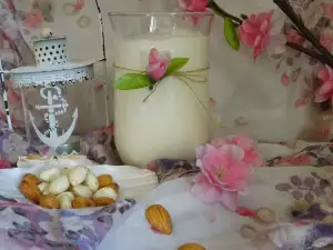 Leche de almendras casera