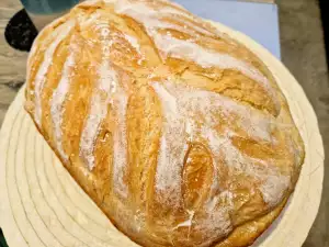 Pan greñado Art