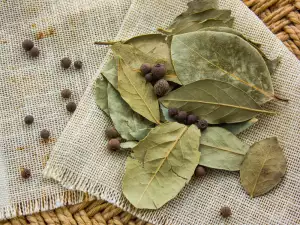 Hojas de laurel