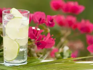 Ginebra