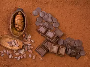 ¿Hay cafeína en el cacao?