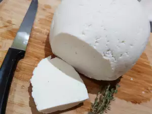 Queso blanco de oveja casero