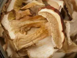 Cómo almacenar boletus deshidratados