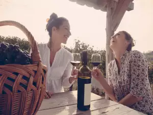 ¿Qué es un vino seco?