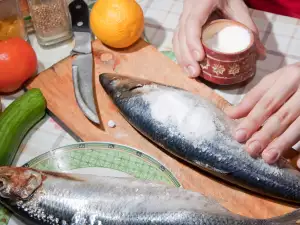 Salazón de pescado