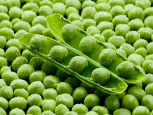 Guisantes