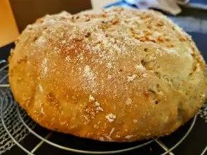 Pan de masa madre natural y quinoa