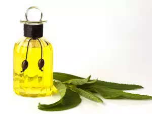 Aceite esencial de alcanfor