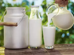 ¿Cómo hervir la leche fresca?