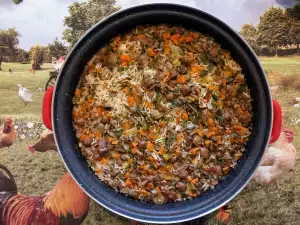 Arroz con marasmius al tomillo