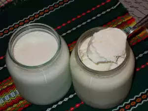 Yogur de oveja casero