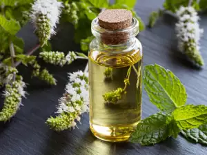 Aceite de menta - beneficios y usos