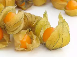 Beneficios para la salud del physalis