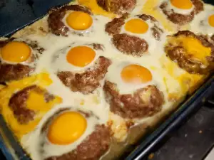Nidos de pájaro