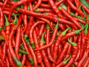 Chiles (Pimientos picantes)