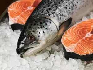 ¿Cuánto tiempo puede permanecer congelado el pescado?