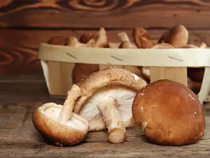 Las propiedades de las setas shiitake