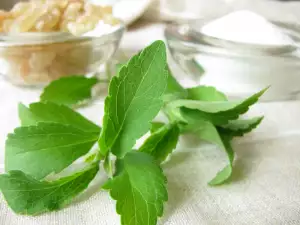 Beneficios de la stevia para tu salud