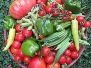 Las verduras que en realidad son frutas