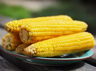Qué contiene el maíz? 