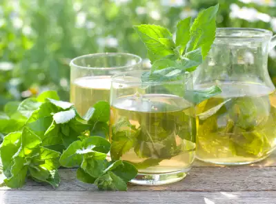 Té o infusión de menta: beneficios y contraindicaciones 