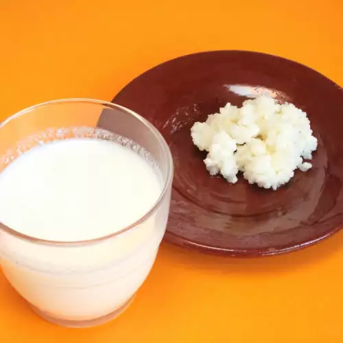 ¿Cómo se hace el kéfir?