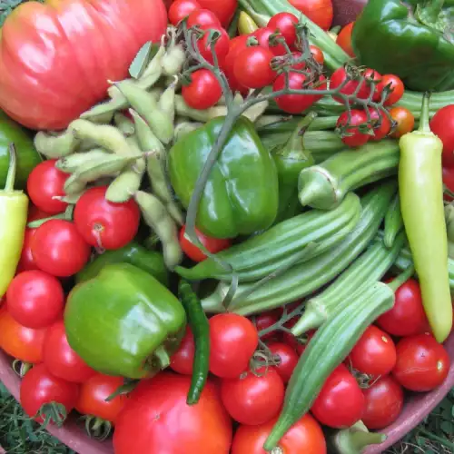 Las verduras que en realidad son frutas